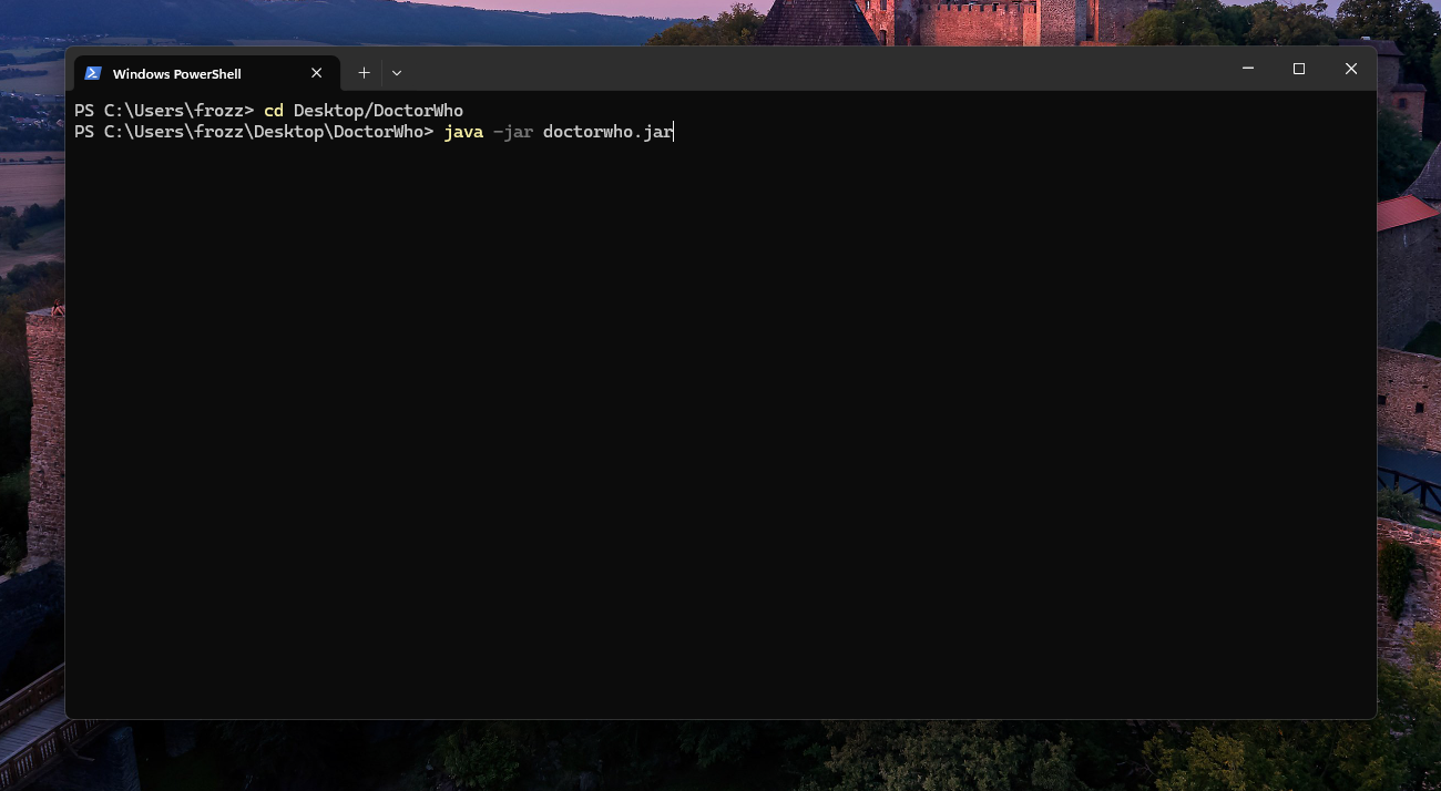 Opening the app via terminal